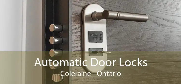Automatic Door Locks Coleraine - Ontario