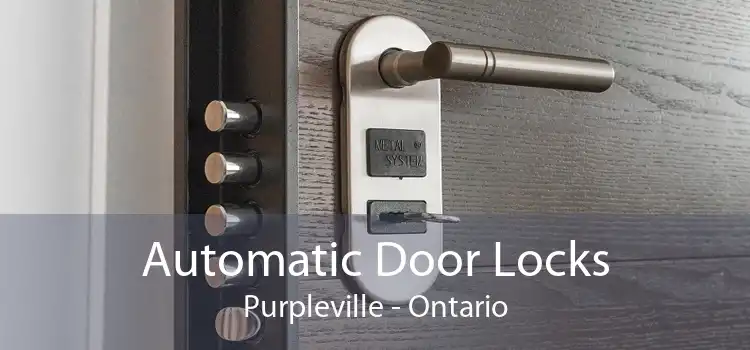 Automatic Door Locks Purpleville - Ontario