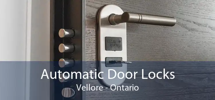 Automatic Door Locks Vellore - Ontario