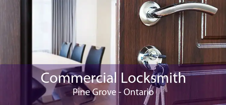 Commercial Locksmith Pine Grove - Ontario