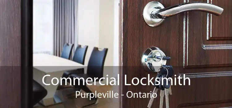 Commercial Locksmith Purpleville - Ontario