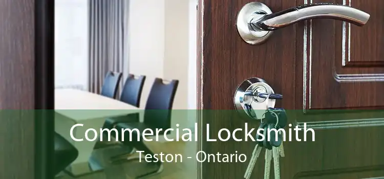 Commercial Locksmith Teston - Ontario