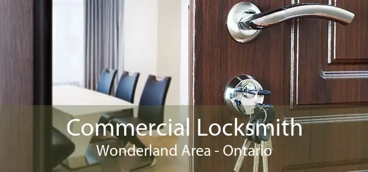 Commercial Locksmith Wonderland Area - Ontario