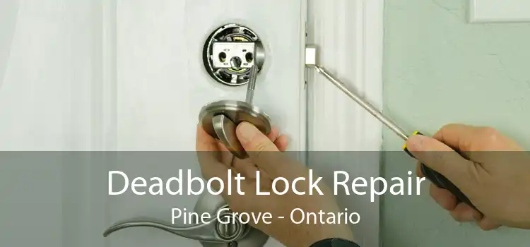 Deadbolt Lock Repair Pine Grove - Ontario