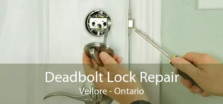 Deadbolt Lock Repair Vellore - Ontario