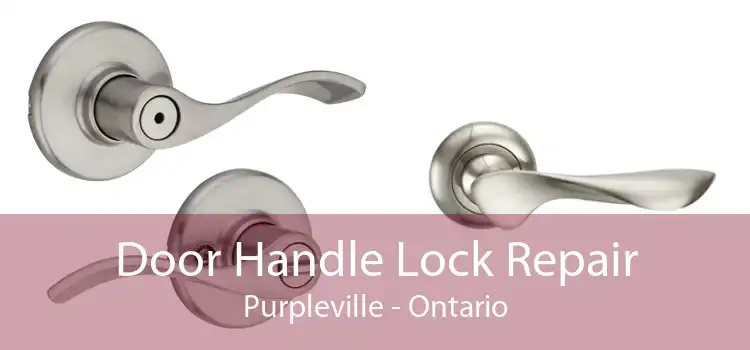 Door Handle Lock Repair Purpleville - Ontario