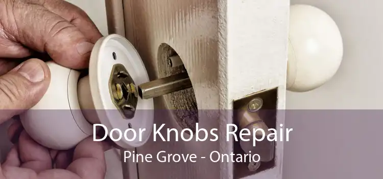 Door Knobs Repair Pine Grove - Ontario