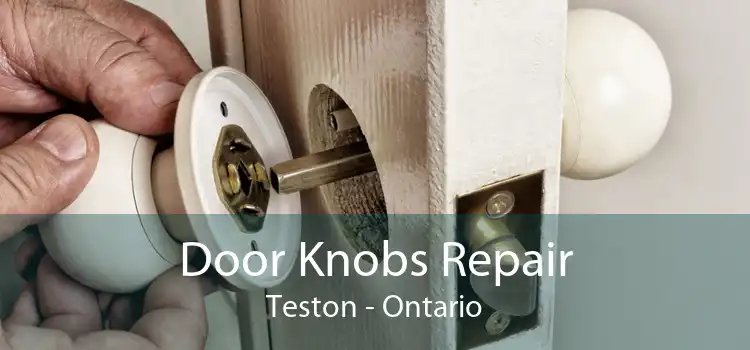 Door Knobs Repair Teston - Ontario