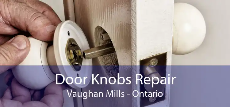 Door Knobs Repair Vaughan Mills - Ontario