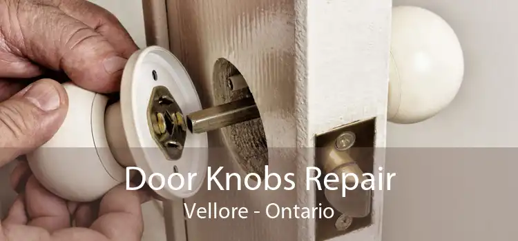Door Knobs Repair Vellore - Ontario