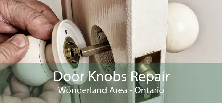 Door Knobs Repair Wonderland Area - Ontario