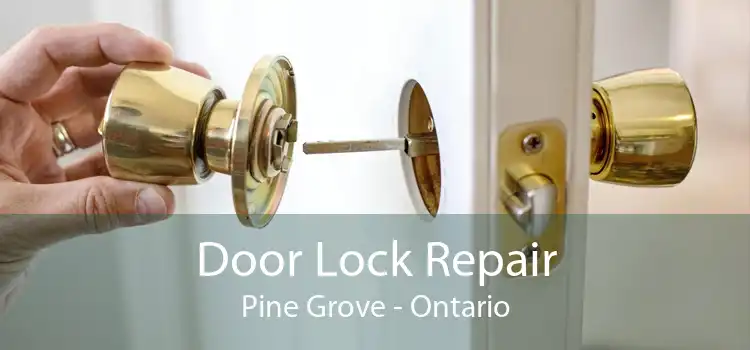 Door Lock Repair Pine Grove - Ontario