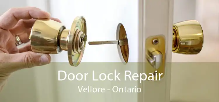 Door Lock Repair Vellore - Ontario