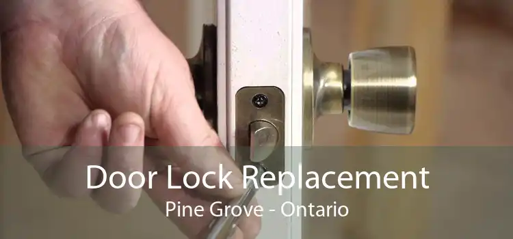 Door Lock Replacement Pine Grove - Ontario