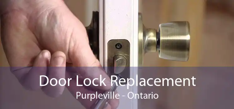 Door Lock Replacement Purpleville - Ontario