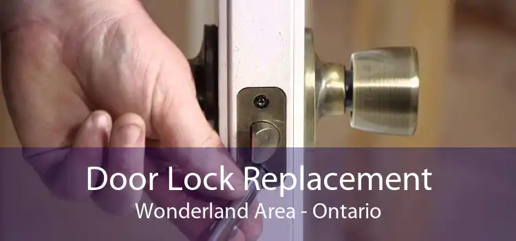 Door Lock Replacement Wonderland Area - Ontario