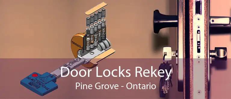 Door Locks Rekey Pine Grove - Ontario