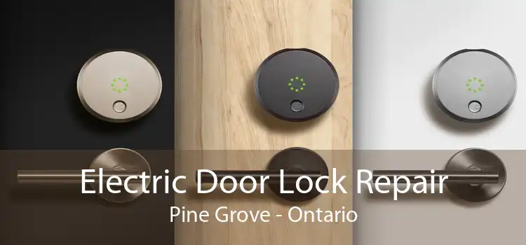 Electric Door Lock Repair Pine Grove - Ontario