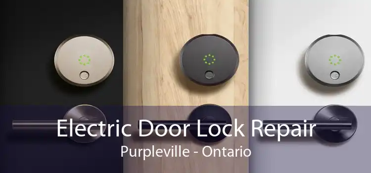 Electric Door Lock Repair Purpleville - Ontario