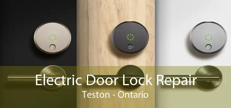 Electric Door Lock Repair Teston - Ontario