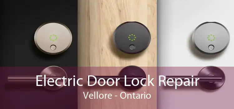 Electric Door Lock Repair Vellore - Ontario