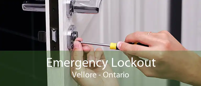 Emergency Lockout Vellore - Ontario