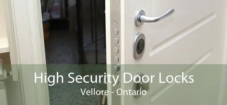 High Security Door Locks Vellore - Ontario