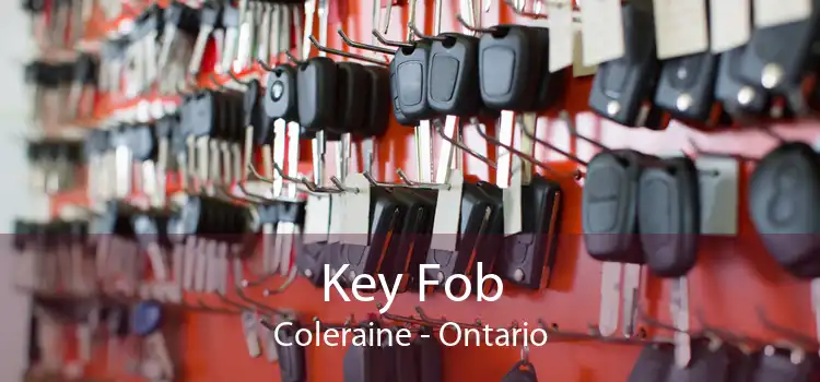 Key Fob Coleraine - Ontario