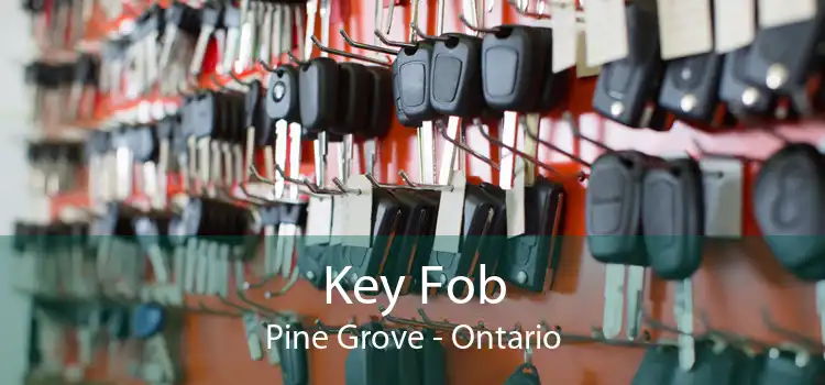 Key Fob Pine Grove - Ontario