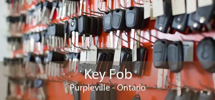 Key Fob Purpleville - Ontario