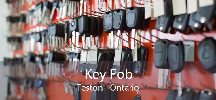 Key Fob Teston - Ontario