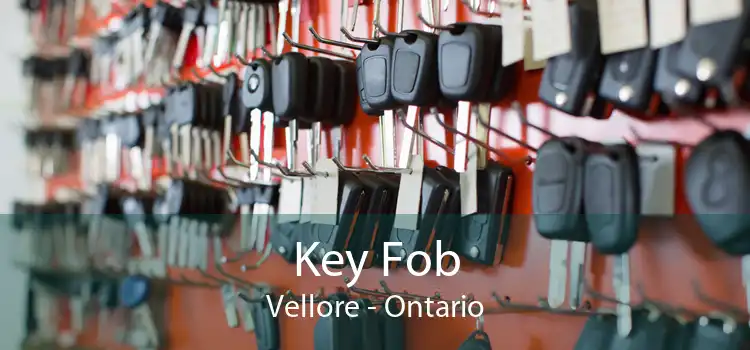 Key Fob Vellore - Ontario