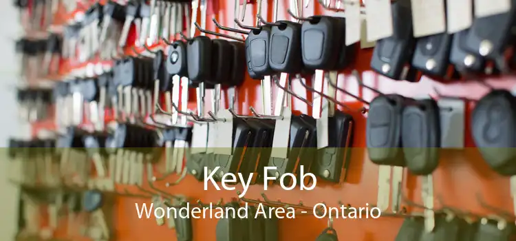Key Fob Wonderland Area - Ontario
