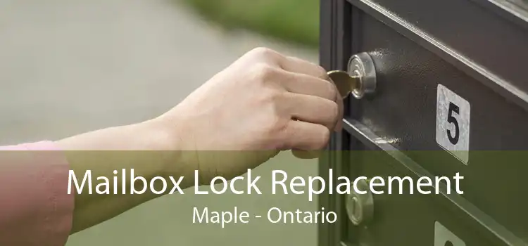 Mailbox Lock Replacement Maple - Ontario