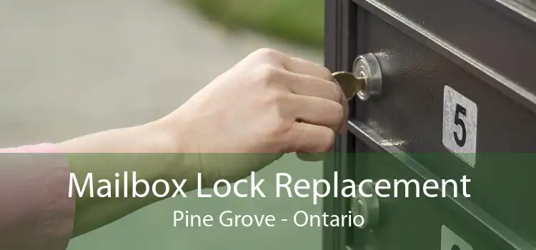 Mailbox Lock Replacement Pine Grove - Ontario