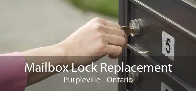 Mailbox Lock Replacement Purpleville - Ontario