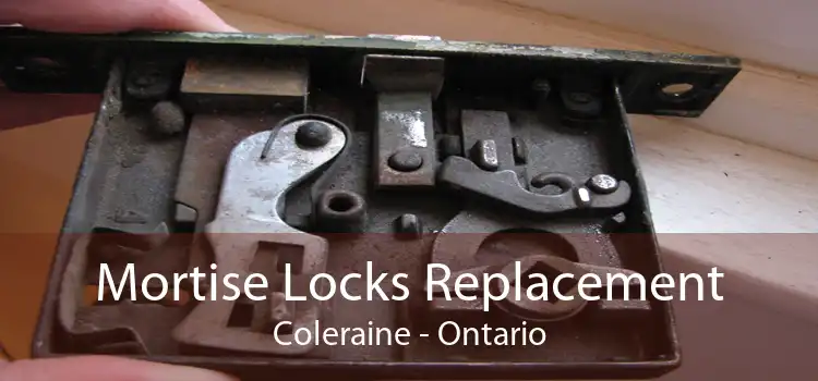 Mortise Locks Replacement Coleraine - Ontario