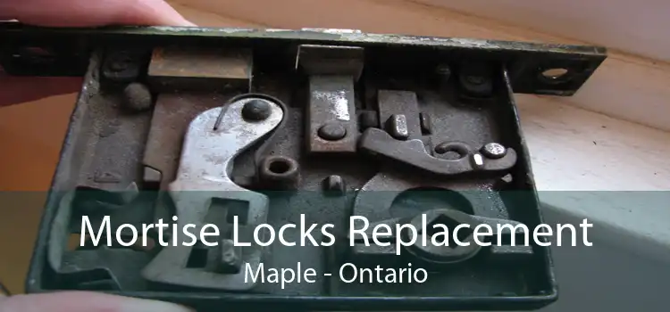 Mortise Locks Replacement Maple - Ontario