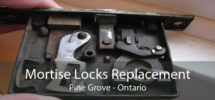 Mortise Locks Replacement Pine Grove - Ontario