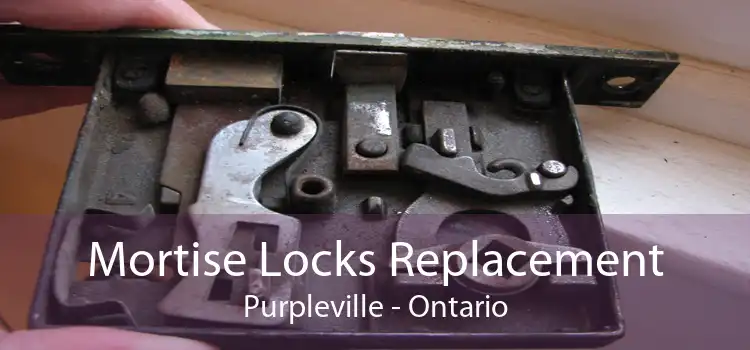 Mortise Locks Replacement Purpleville - Ontario