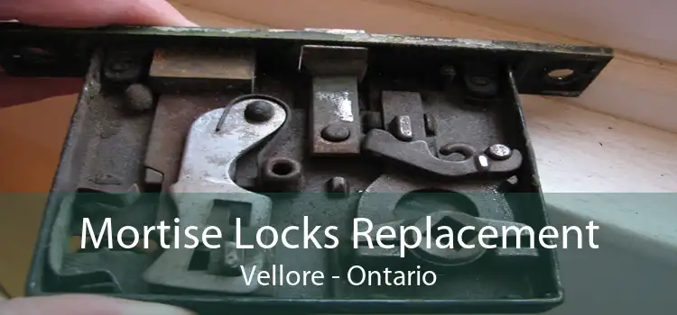 Mortise Locks Replacement Vellore - Ontario