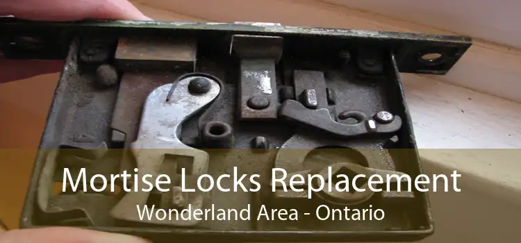 Mortise Locks Replacement Wonderland Area - Ontario
