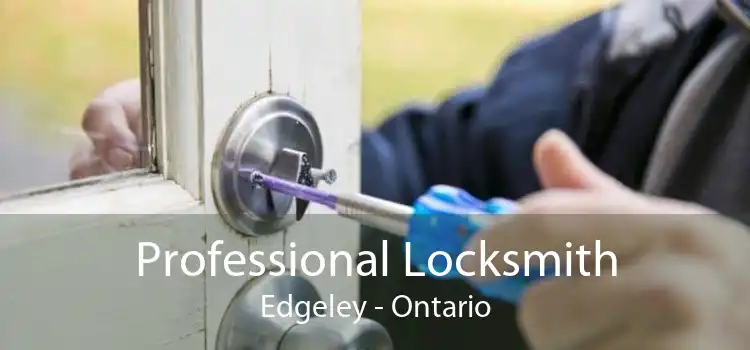 Professional Locksmith Edgeley - Ontario