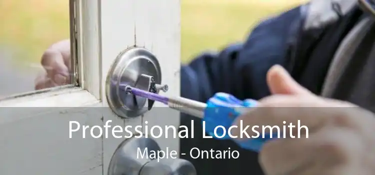 Professional Locksmith Maple - Ontario