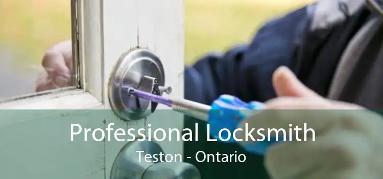 Professional Locksmith Teston - Ontario