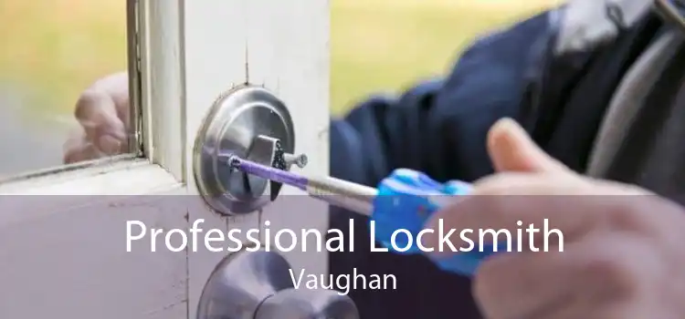 Professional Locksmith Vaughan