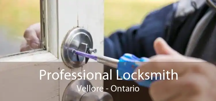 Professional Locksmith Vellore - Ontario
