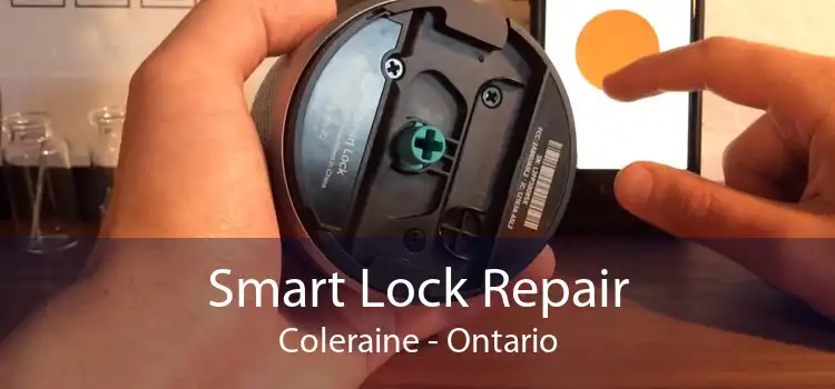 Smart Lock Repair Coleraine - Ontario