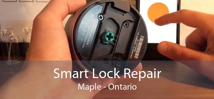 Smart Lock Repair Maple - Ontario