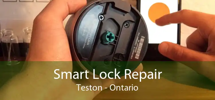 Smart Lock Repair Teston - Ontario